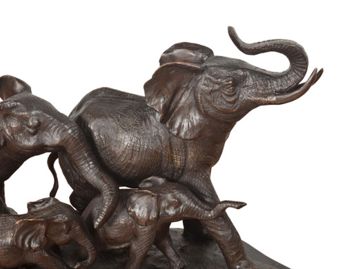 Five Elephants Close Up Image