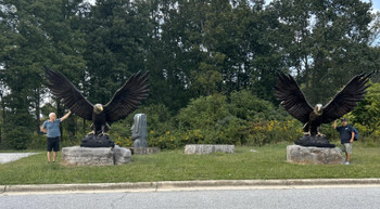 144 inch Wing Span Pair of Bronze Eagles
