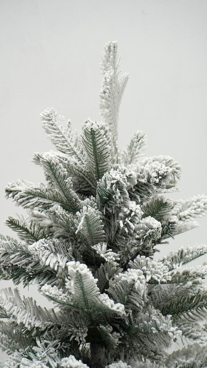 Winter Frosted Tree with Gold Stand Room Scene