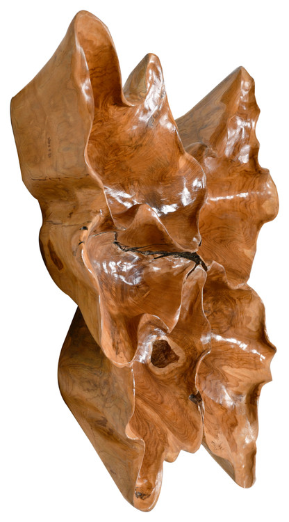 Natural Teak Root Wall Decoration