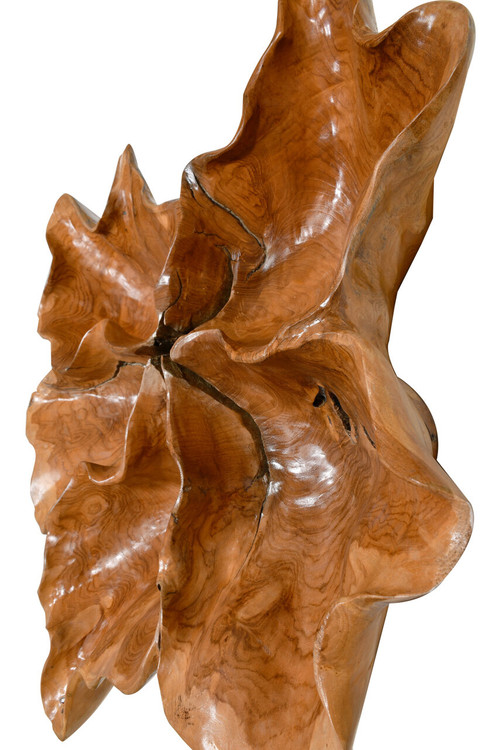 Natural Teak Root Wall Decoration