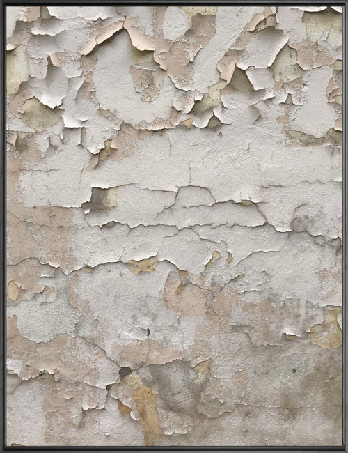 Peeling White Patch Gold Leaf Giclee