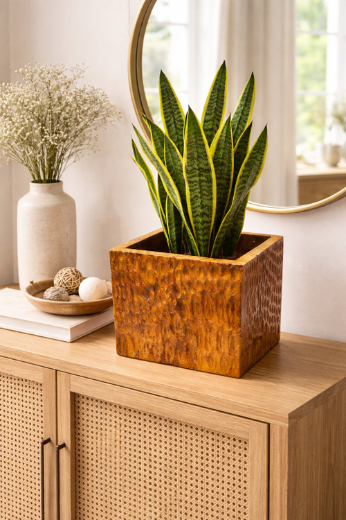 Large Teak Wood Square Planter