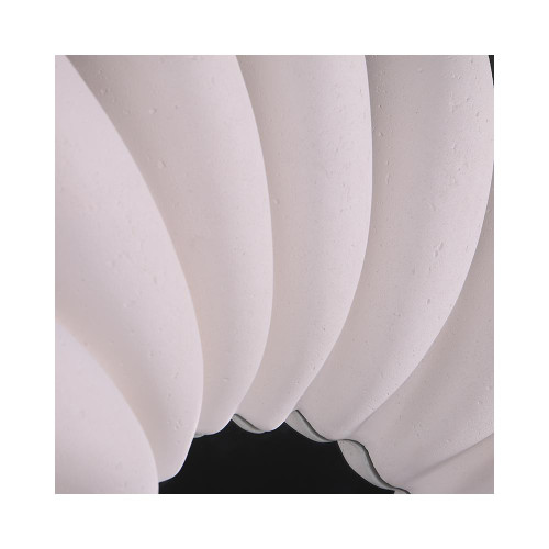 Giant Clam Mirror
