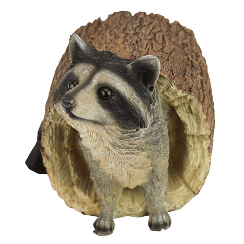 Woodland Peek a Boo Racoon Statue