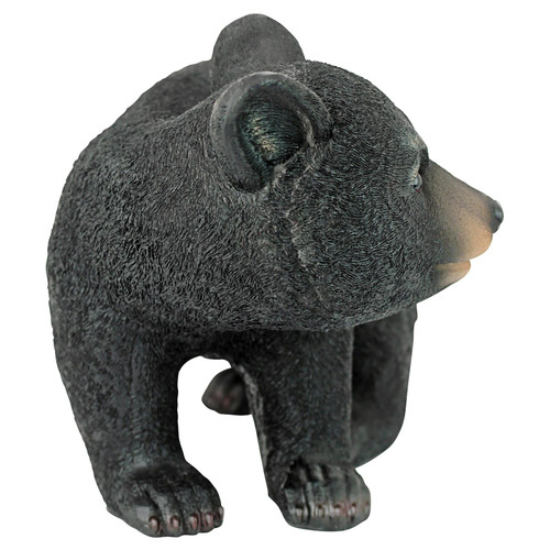 Curious Woodland Black Bear Cub