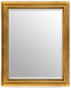Simple Elegance Mirror 08X10 Soft Gold