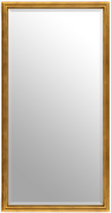 Simple Elegance Mirror 24X48 Soft Gold