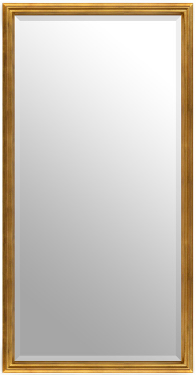 Simple Elegance Mirror 24X48 Soft Gold