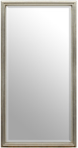 Simple Elegance Mirror 24X48 Silver