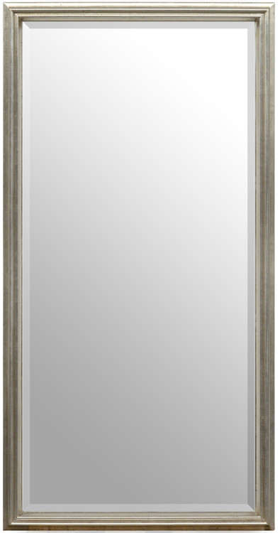 Simple Elegance Mirror 24X48 Silver