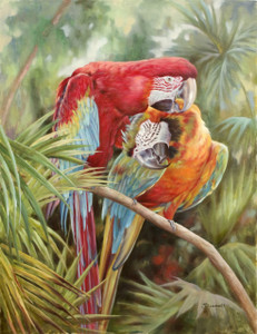 The Parrots Gallery Wrap