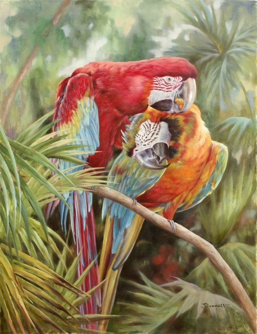 The Parrots Gallery Wrap