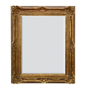 Renaissance Mirror 20x24 Burnished Gold