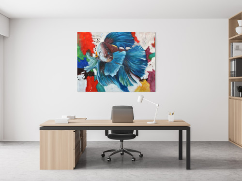 Fish Color Background Close Up Image