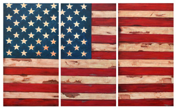 American Flag Triptec 24x48