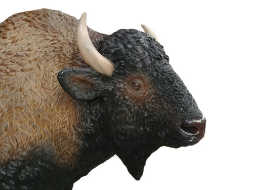 American Bison Room Scene