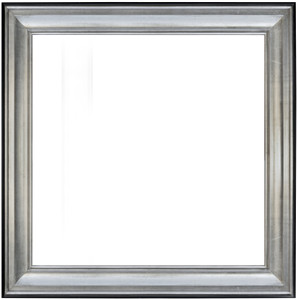 Silver Raven Frame 48X48TSB