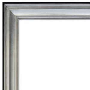 Silver Raven Frame 48X60 Tarnished Silver Black