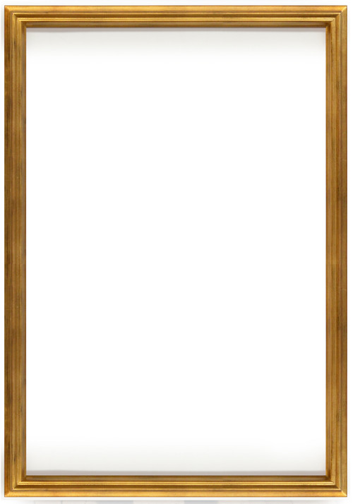 Simple Elegance Frame 24X36  Soft Gold
