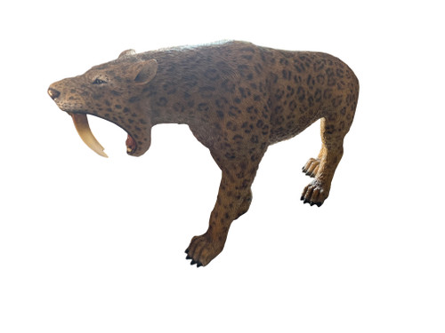 Saber Toothed Cat Room Scene