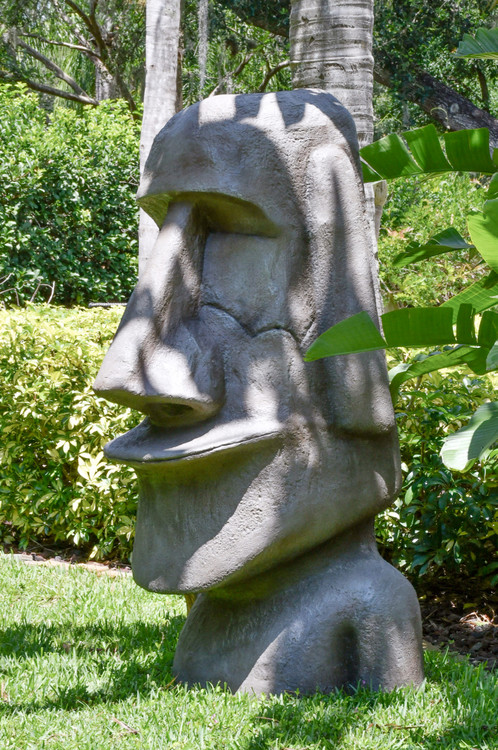 Easter Island Head Close Up Image
