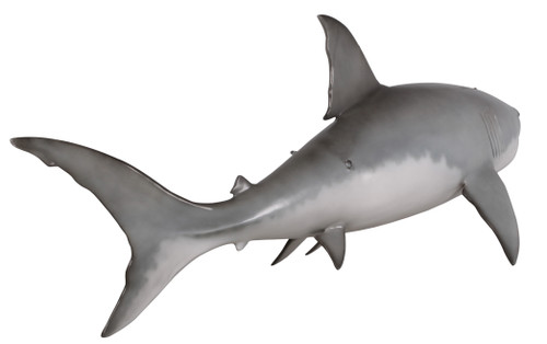 Great White Shark 6ft Room Scene