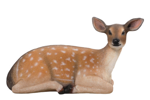 Fallow Deer  Fawn Lying Down Room Scene