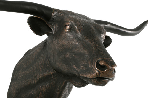 Imperial Texas Long Horn Close Up Image