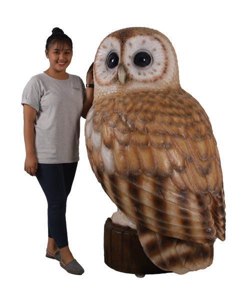Tawny Owl 5ft Close Up Image