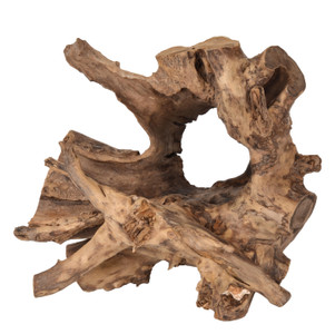 Random Teak Forest Specimens Planters Bases