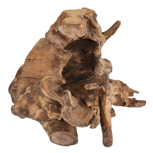Random Teak Forest Specimens Planters Bases Close Up Image