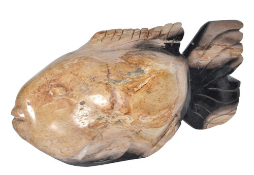 Mountain Studios Petrified Wood Fish 21 Inch Authentic Specimen