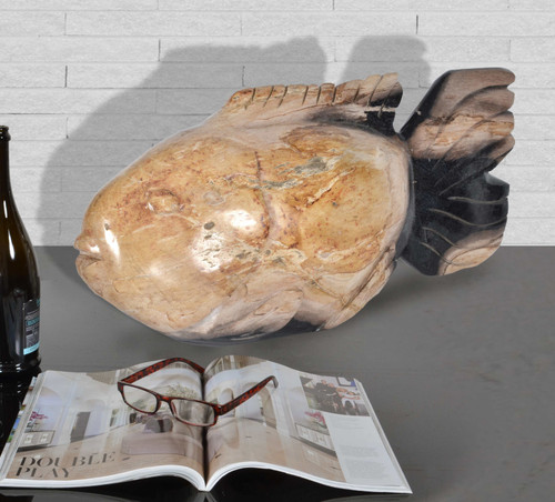 Mountain Studios Petrified Wood Fish 21 Inch Authentic Specimen Room Scene