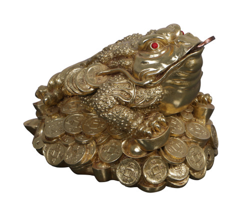 Feng Shui Money Frog Room Scene