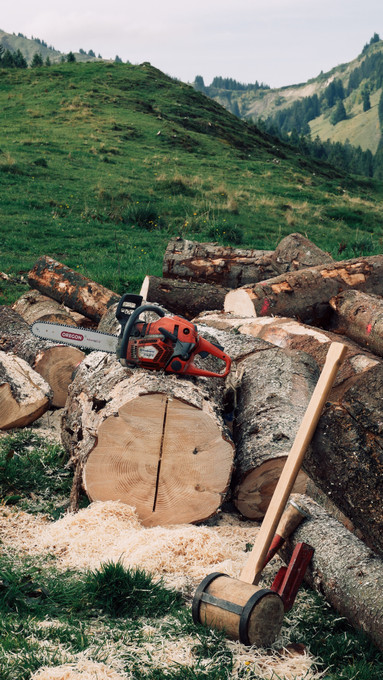 3 Big Reasons Why You Should Repair Your Chainsaw Instead of Buying New One.