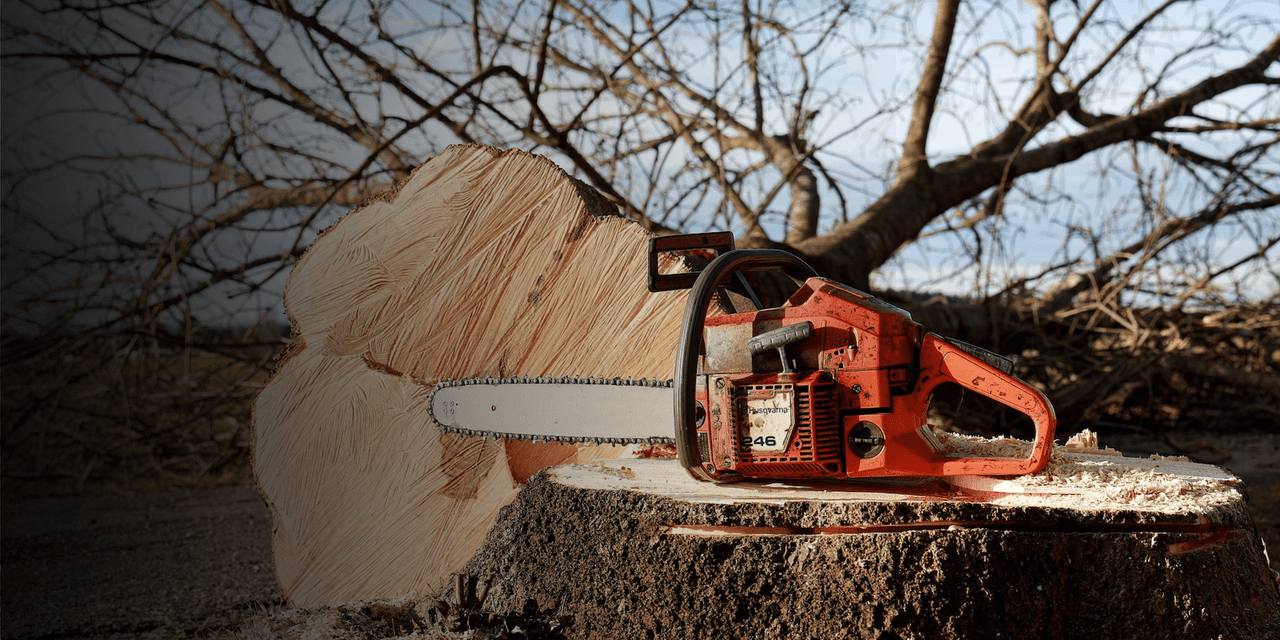 Chainsaw Replacement Parts