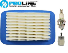  Proline® Tune up Maintenace For Echo  PB-403 PB-500 PB-580 PB-755 A226000032 90156Y NGK 