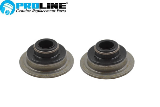  Proline® Valve Seal Set For Briggs & Stratton 393606 497212 692324 