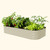 Vego Garden 17in Tall Classic 10 in 1 Raised Garden Bed Peral White