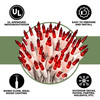 100 Red Christmas Lights on a White Wire String, UL Approved for Indoor/Outdoor Use, 18' Lighted Length, 20' Total Length