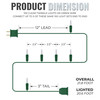 100 Clear Twinkle Lights on Green Wire, Indoor/Outdoor Use, Lighted Length of 20.6’, Total Length of 21.8’