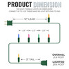 100 Multi Twinkle Lights on Green Wire, Indoor/Outdoor Use, Lighted Length of 20.6’, Total Length of 21.8’ (VT-00333)