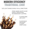 20 Clear LED Christmas String Lights on Brown Wire Cord, UL Approved For Indoor and Outdoor Use, 4.75’ Lighted Length, 6.1’ Total Length (Pack of 2)