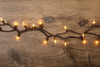 35 Clear LED Christmas String Lights on Brown Wire Cord, UL Approved For Indoor and Outdoor Use, 8.5’Lighted Length, 9.8’ Total Length (Pack of 2)