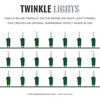100 LED Clear Twinkle Christmas Lights on Green Wire, UL Approved For Indoor and Outdoor Use, 24.75’ Lighted Length, 25.4’ Total Length