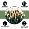 100 LED Clear Twinkle Christmas Lights on Green Wire, UL Approved For Indoor and Outdoor Use, 24.75’ Lighted Length, 25.4’ Total Length