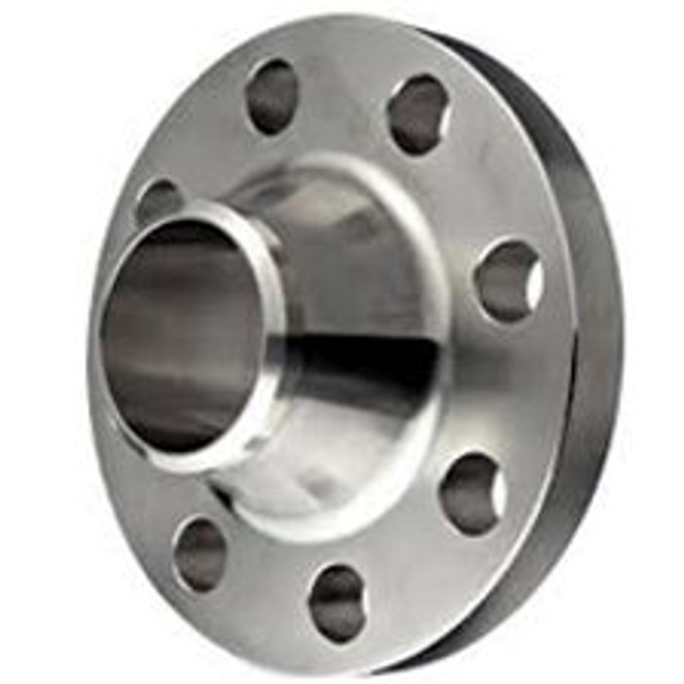300# Stainless Steel Weld Neck Flange 304L