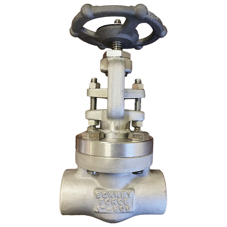 Bonney Forge Globe Valve HL38LSW