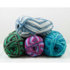 14oz Sock Yarn Pack 14oz Sock Yarn Pack